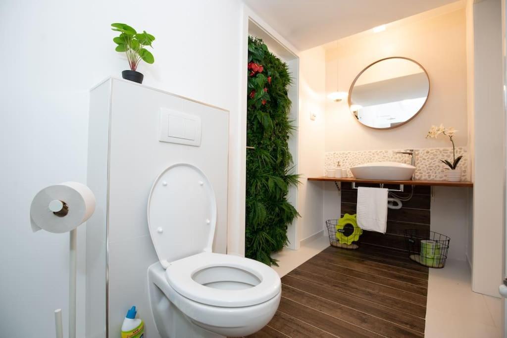 E-House Apartment Brasov Noua المظهر الخارجي الصورة
